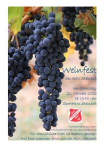 Read more about the article Weinfest des ASV Steinach