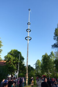 Read more about the article Maibaum